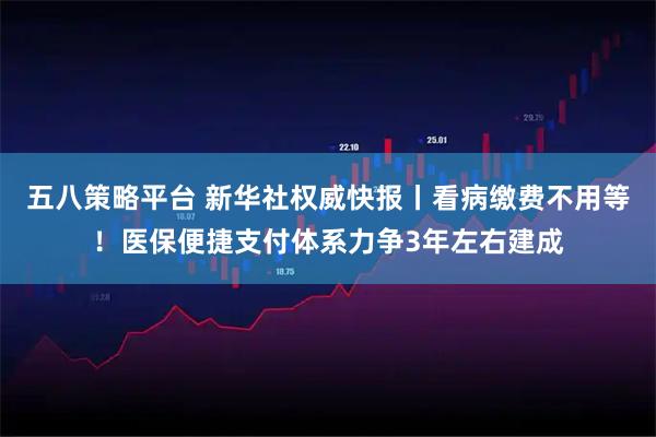 五八策略平台 新华社权威快报丨看病缴费不用等！医保便捷支付体系力争3年左右建成