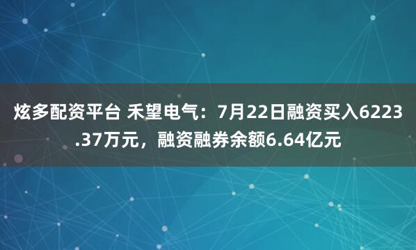 炫多配资平台 禾望电气：7月22日融资买入6223.37万元，融资融券余额6.64亿元