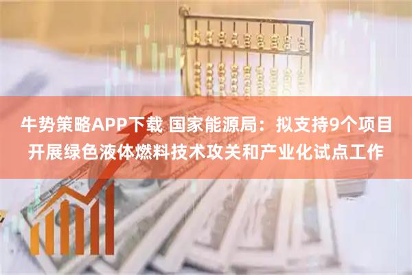 牛势策略APP下载 国家能源局：拟支持9个项目开展绿色液体燃料技术攻关和产业化试点工作