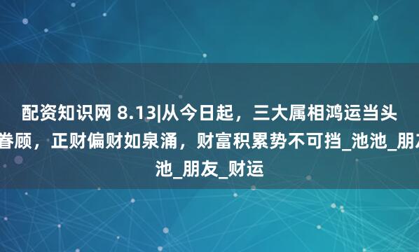 配资知识网 8.13|从今日起，三大属相鸿运当头，财神眷顾，正财偏财如泉涌，财富积累势不可挡_池池_朋友_财运