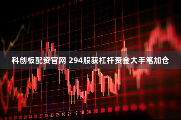 科创板配资官网 294股获杠杆资金大手笔加仓