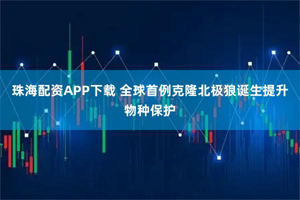 珠海配资APP下载 全球首例克隆北极狼诞生提升物种保护
