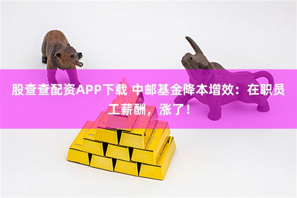 股查查配资APP下载 中邮基金降本增效：在职员工薪酬，涨了！