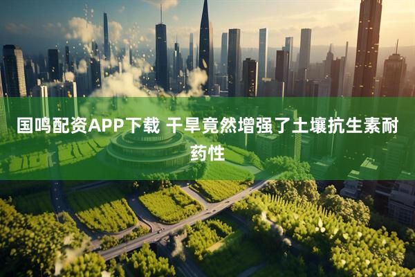 国鸣配资APP下载 干旱竟然增强了土壤抗生素耐药性